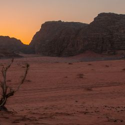 Pustynia Wadi Rum 
