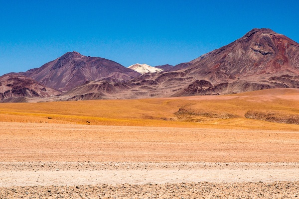 Pustynia Atacama